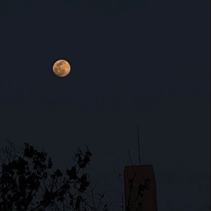 "저기.. 너,.." 대표 이미지