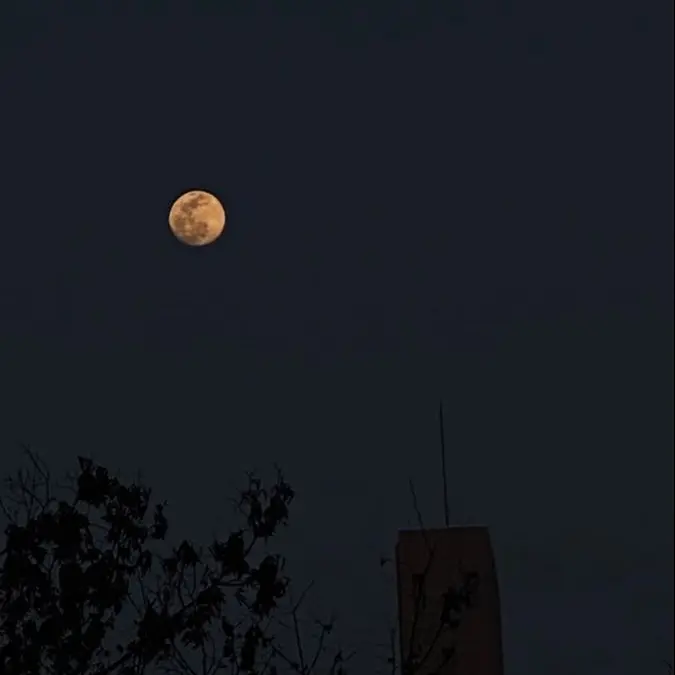 scale_123의 "저기.. 너,.."