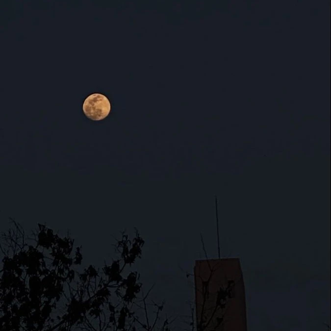 "저기.. 너,.."