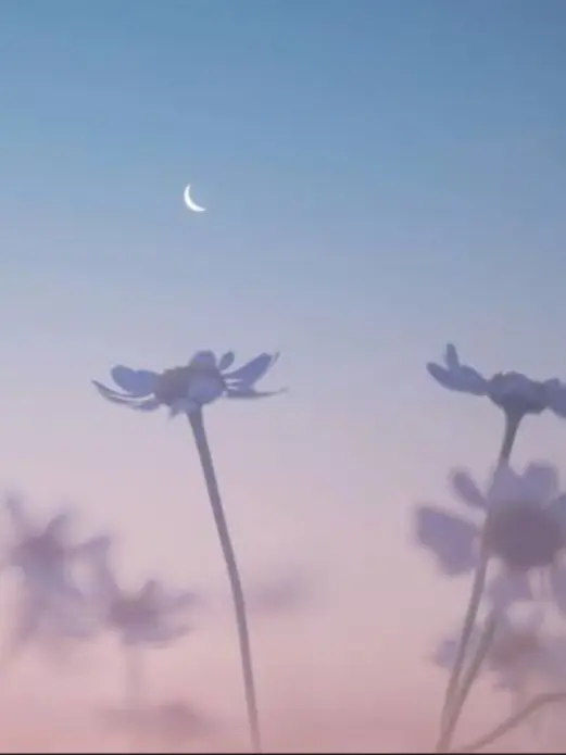 CreamHoop1303의 ⚠トーク非推奨自分用