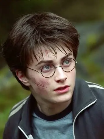 FluffyBerry4795의 Harry potter