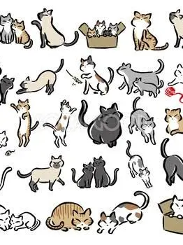 NiceSquid5307의 고양이