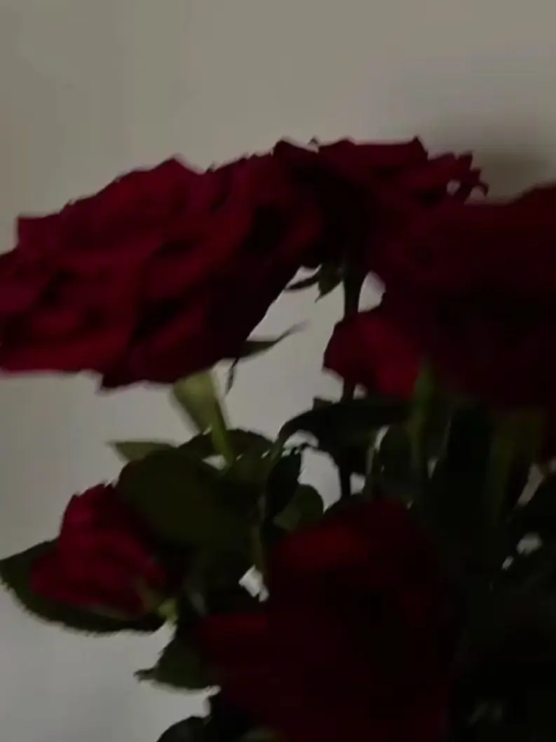 BusyDiary4106의 키르아 조르딕