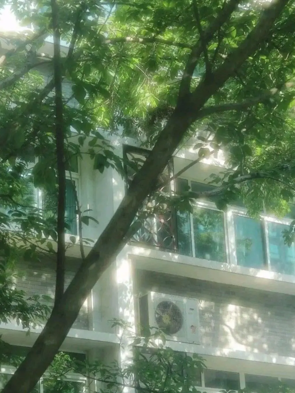 LavishLime9559의 정공룡