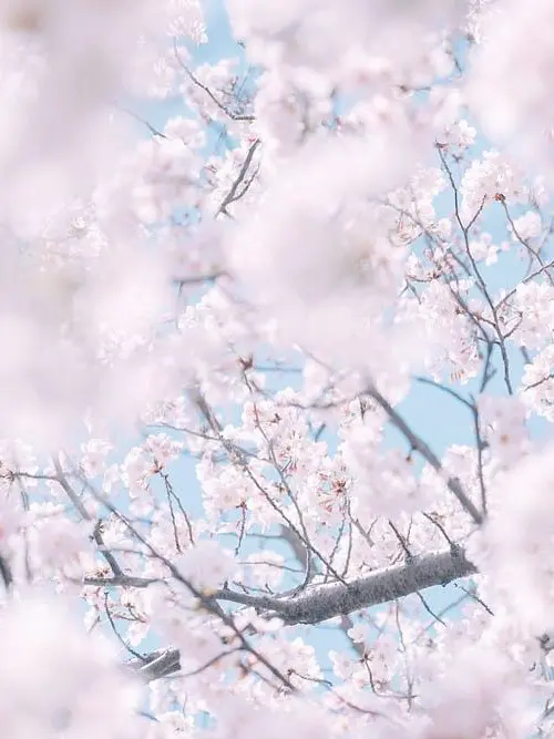 Rena1_8_의 みんなから愛されてる？！