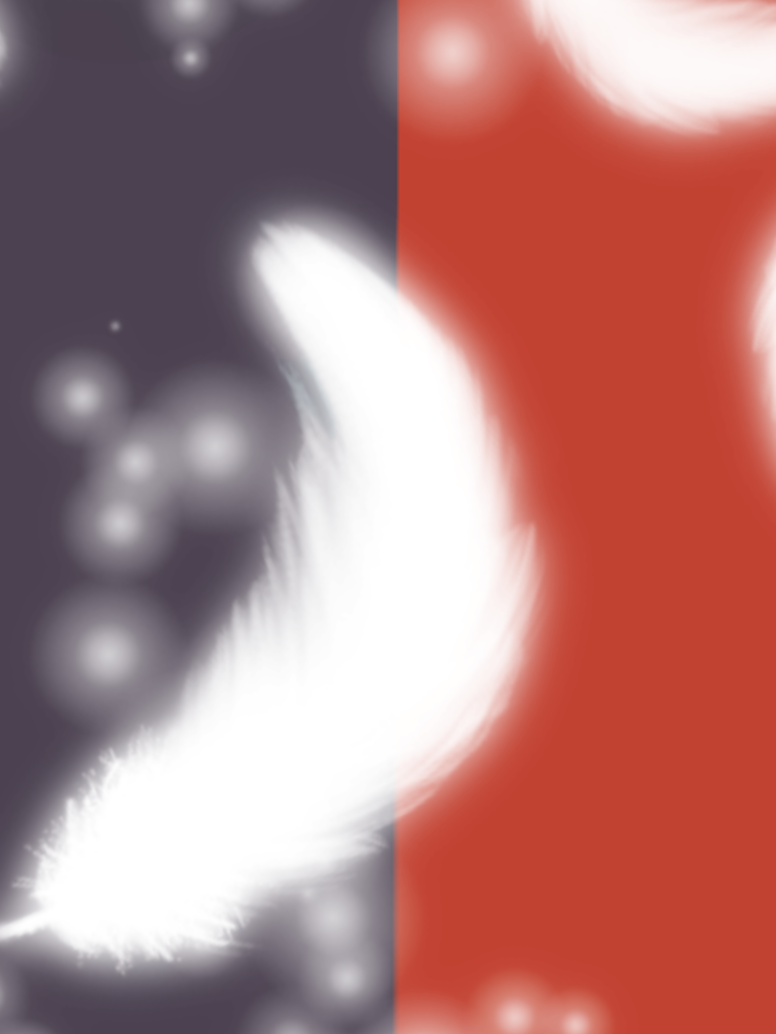宝贝 대표 이미지