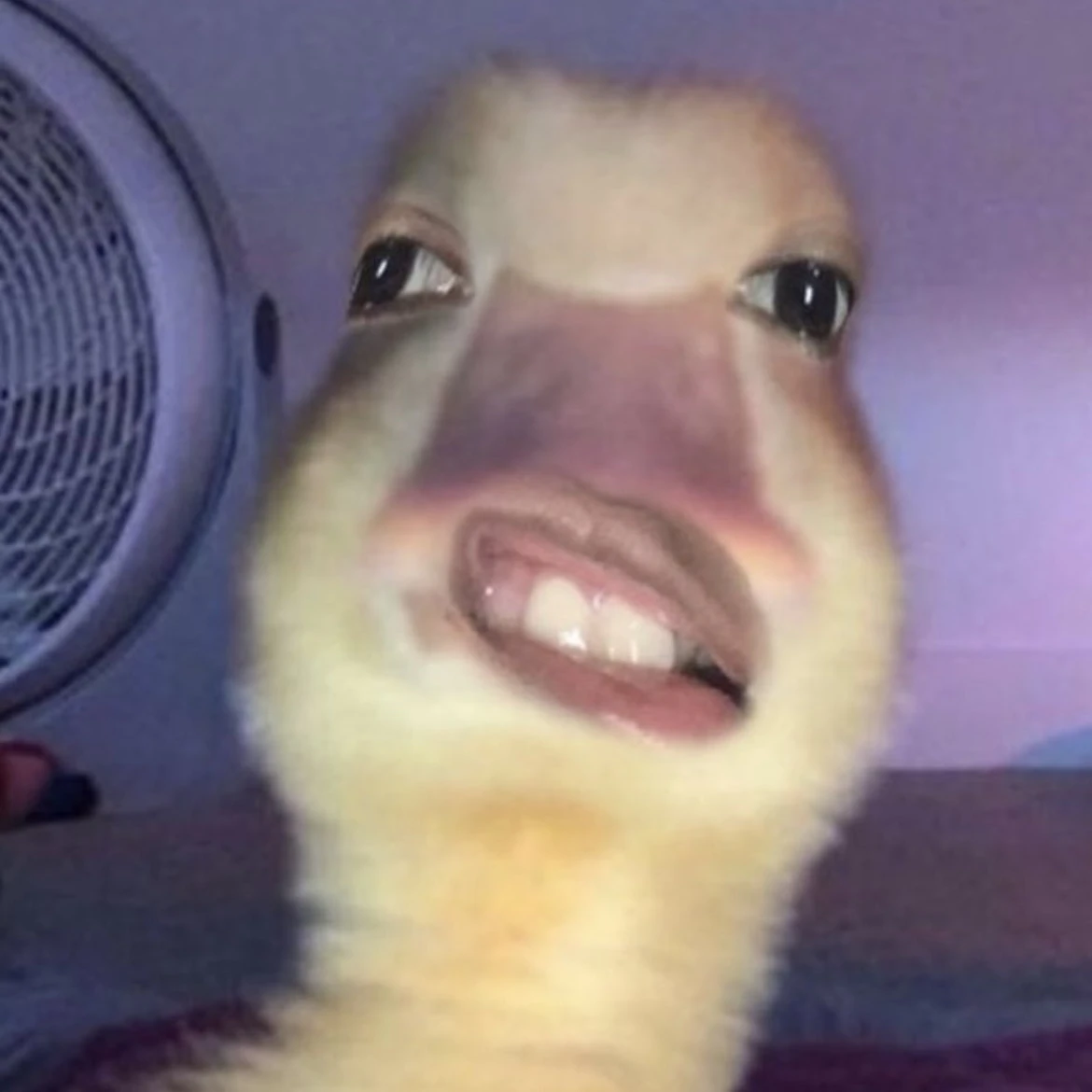개미지옥