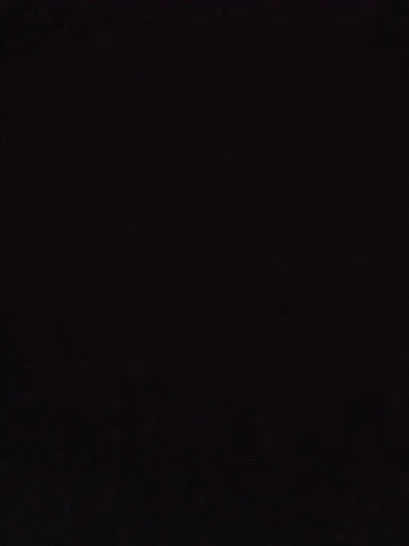 onigiri2026의 君みたいな人初めて