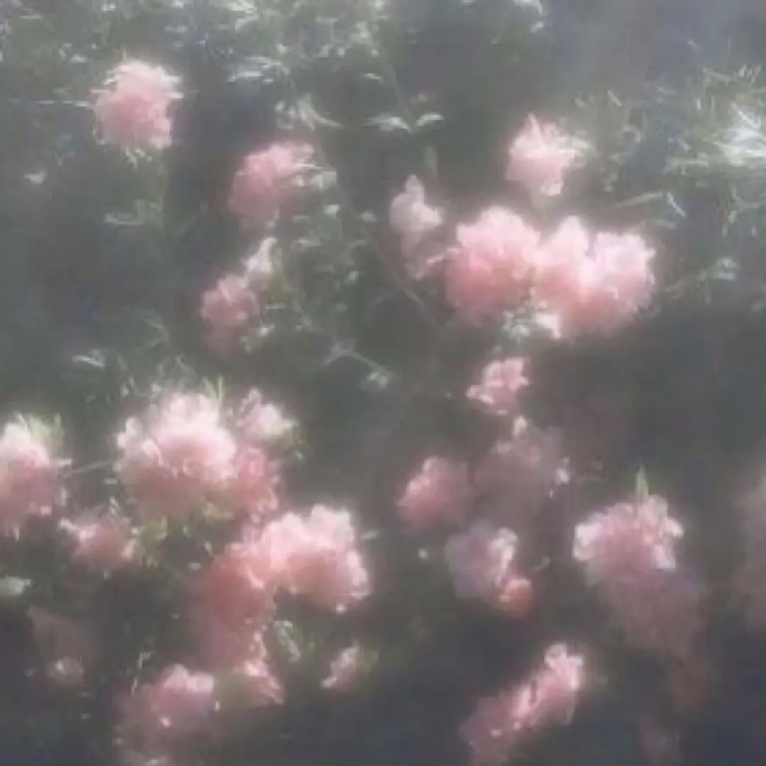 E.narumiGEN의 나루미 겐