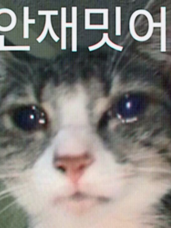 또 다른 컵- 아, 돌아버리겠네!!! 대표 이미지