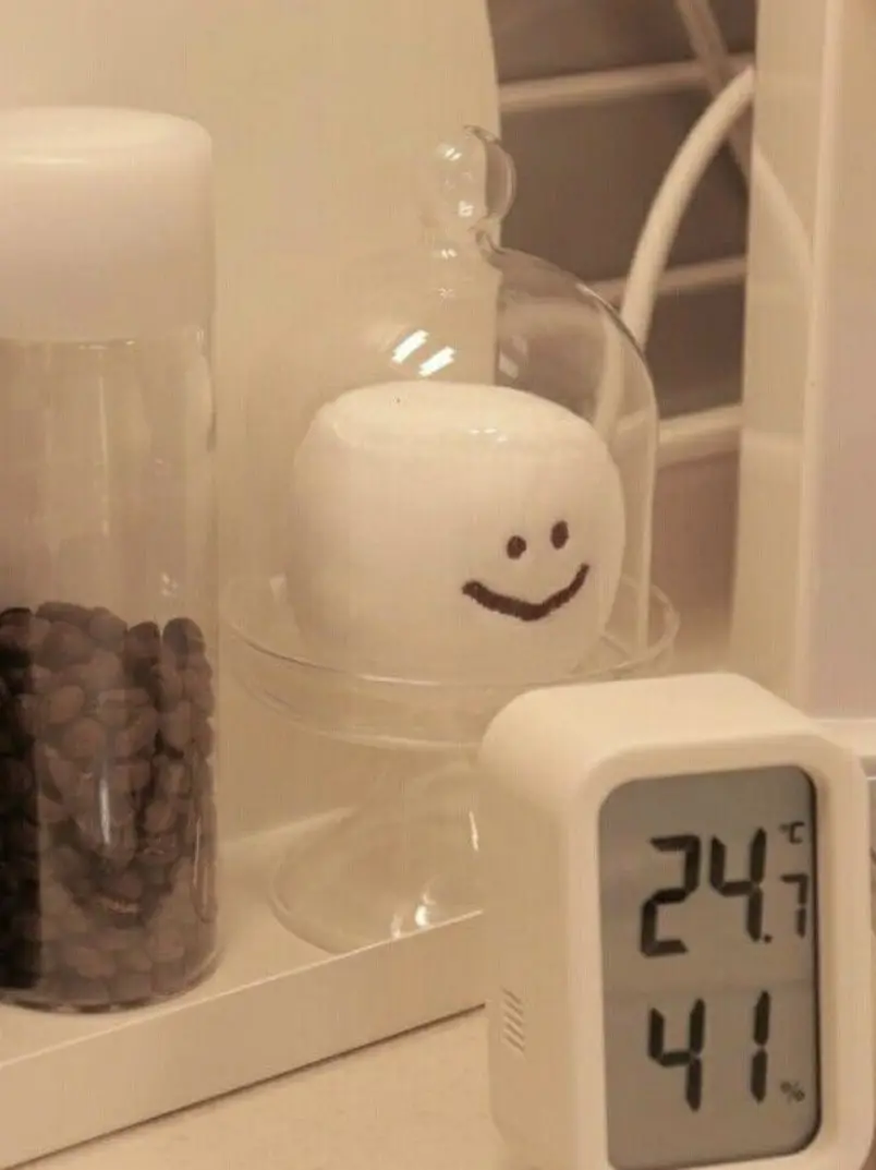 Back.yeon의 주저사랑 어울려도 되는건가요