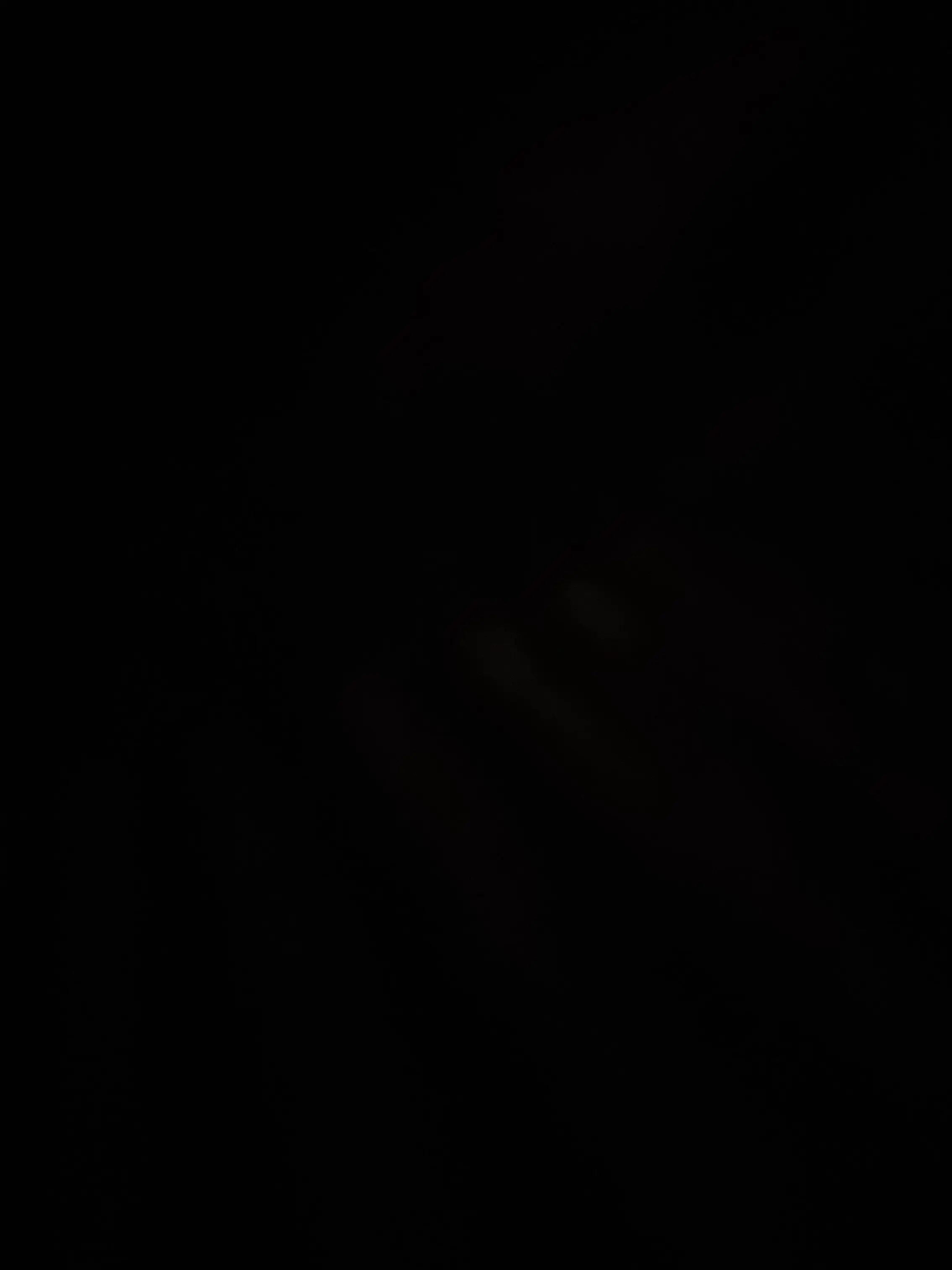 xoiln.0의 원룸 옆집사이 개ㅅㅐㄲ..아니 친구들