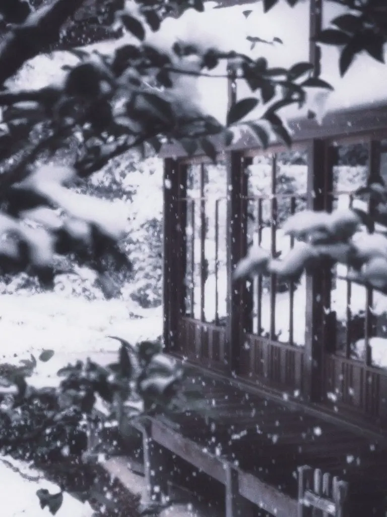 melancholy11의 ☃