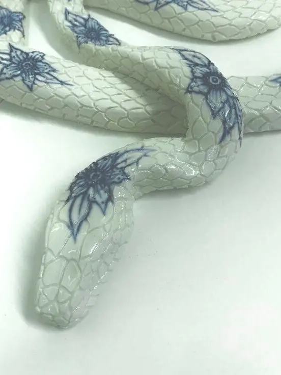BroadPhoto0651의 Beautiful Serpent