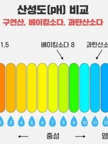 FastGesso3185의 뭉칠이 엄마되기