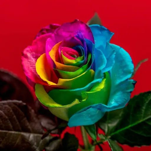 getzoo1의 반가워, [뜰팁]