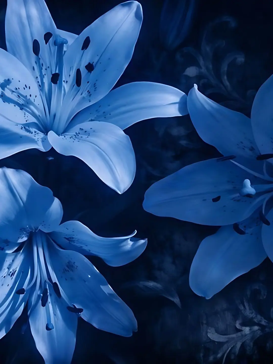 ONFYWZ의 끝내지 말아 줘 트로이메라이