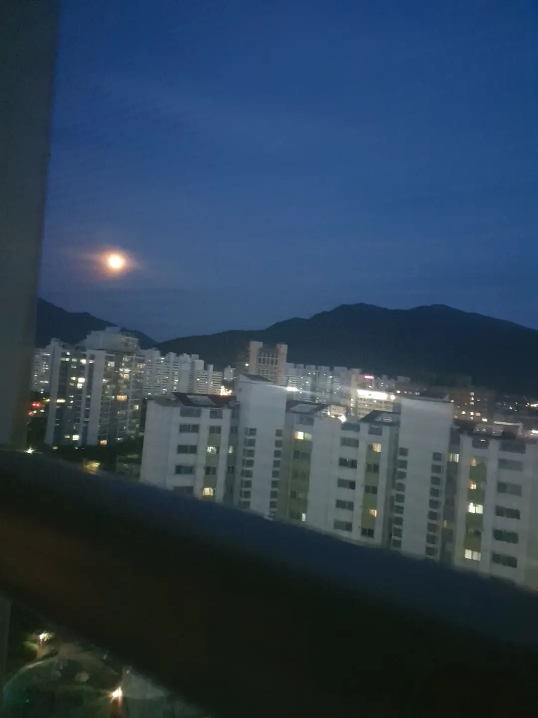 CroakyHoney0586의 사랑해요!