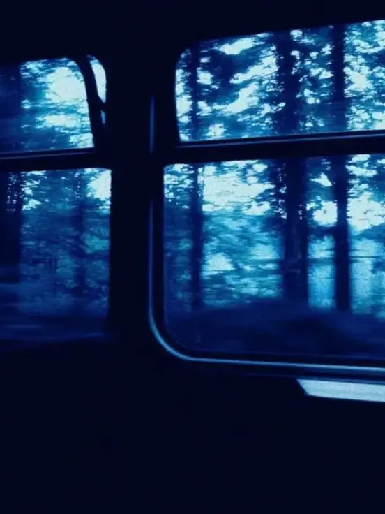 Txss_14.의 Harry Potter
