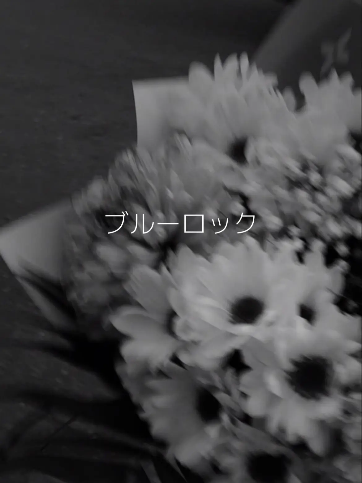 miyanomamoru_love의 愛され怪盗(？)