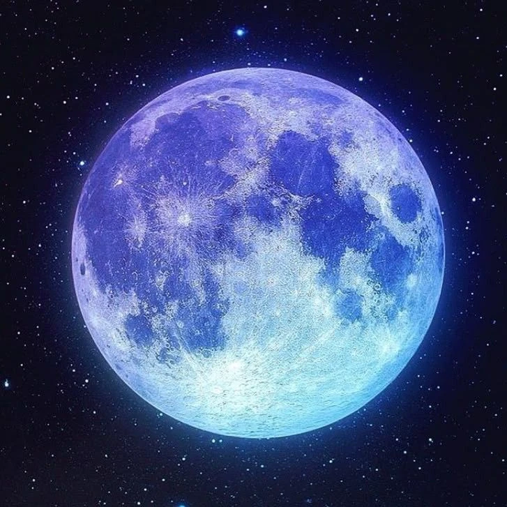 여우 뱀파이어와 동거.