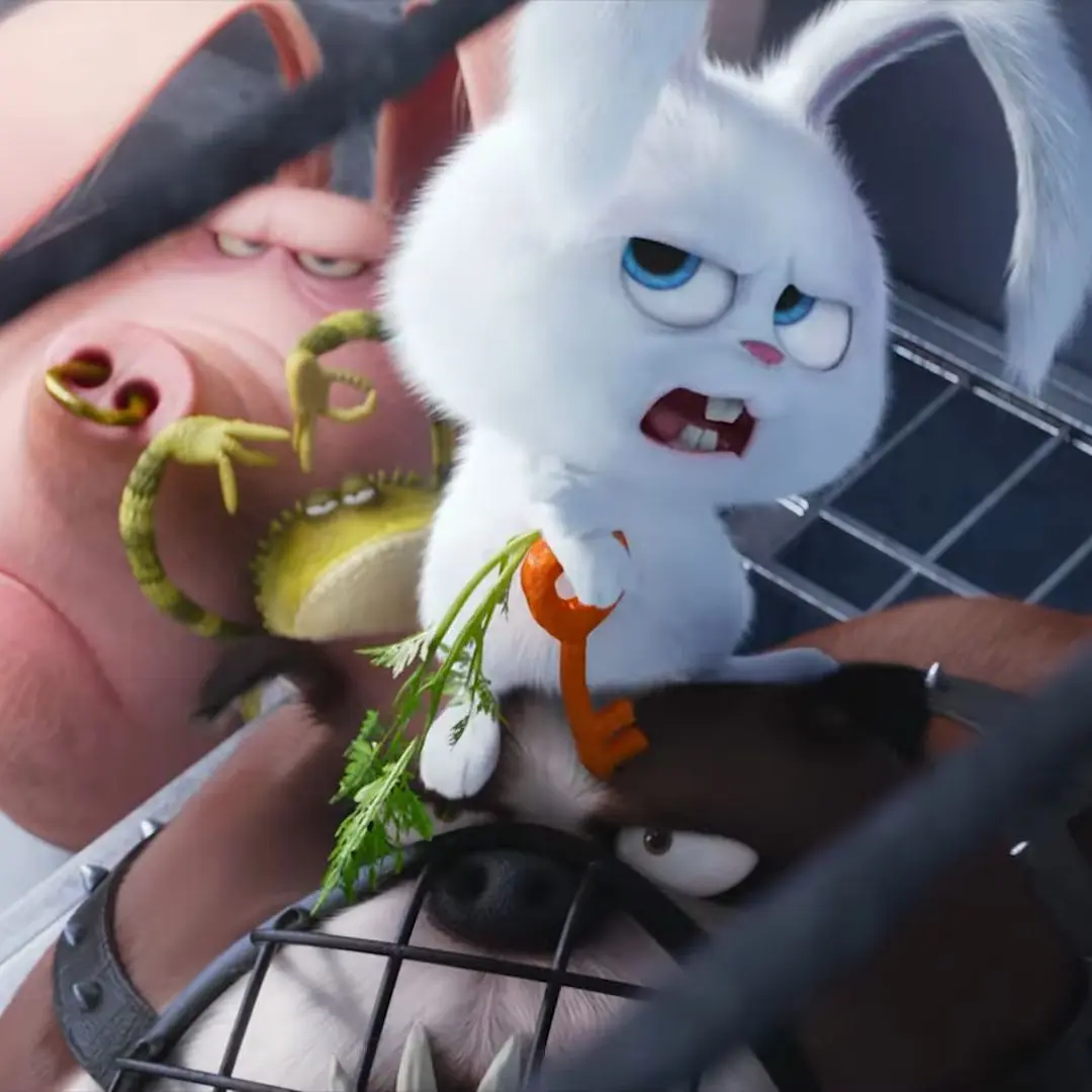 7s_02160520의 元ペット軍団