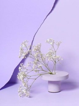 어서와, 우리 마을에. 대표 이미지