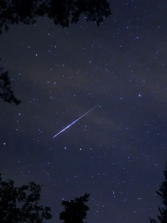 Signal99999999의 空を見上げて、あの星見つけた！