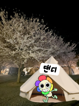 댄디의 세계&캠핑!! 대표 이미지