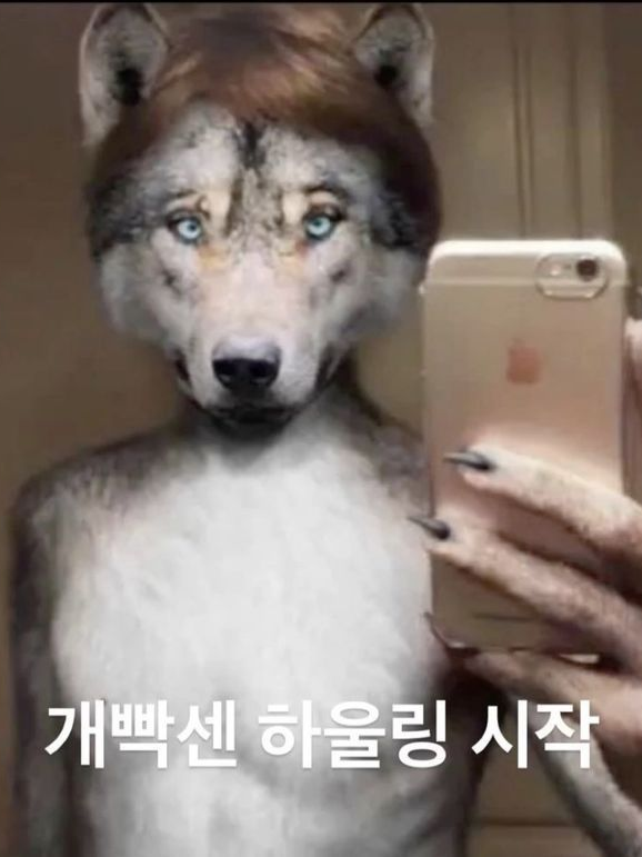 김홍진 대표 이미지