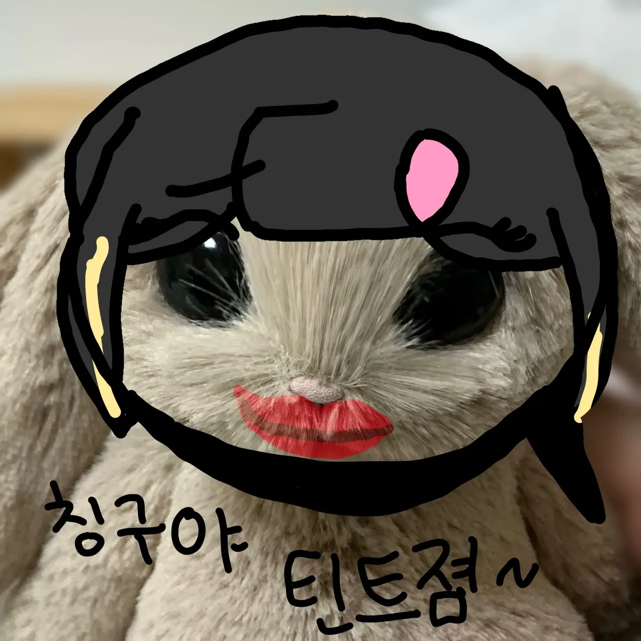 crystal091743의 이진 토토를 참교육 하자!!!!!!!