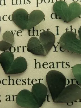 SmoothElk4838의 유명 스트리머의 숨겨진 여친.