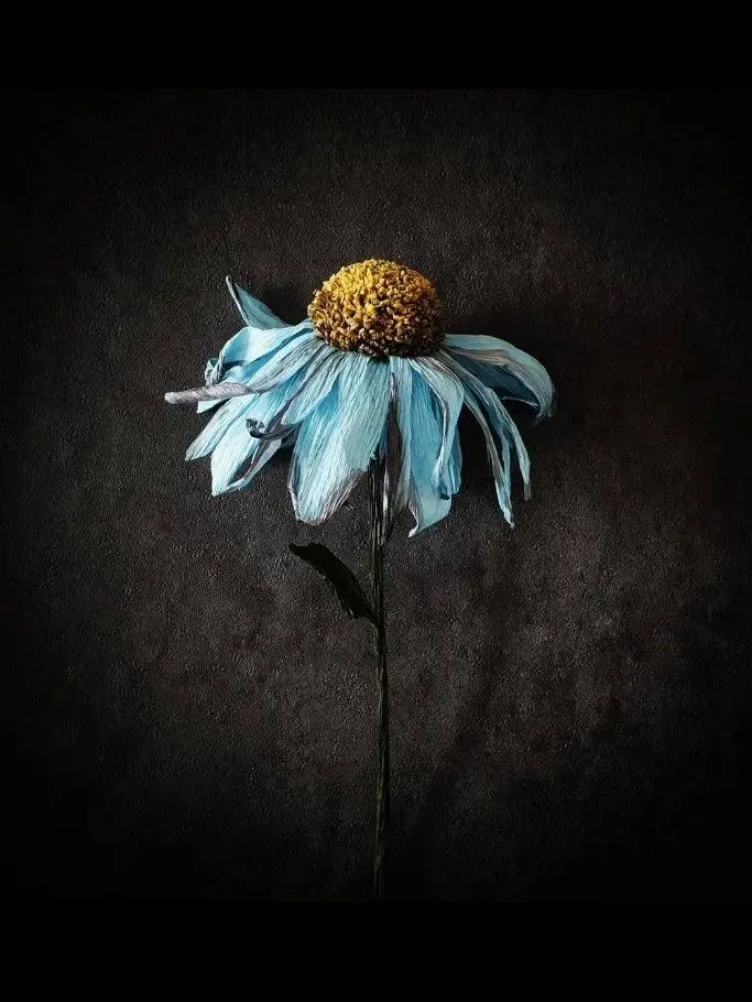 Switerlandball의 초능력좀 없애주세요