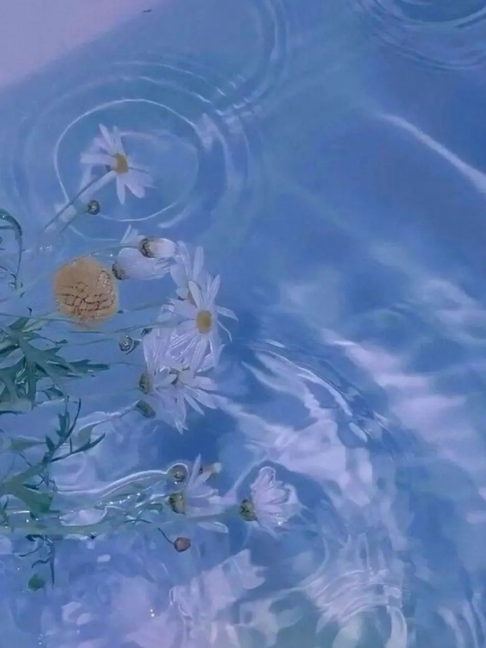 paradise-5의 기대했어?ㅎ[파이브]