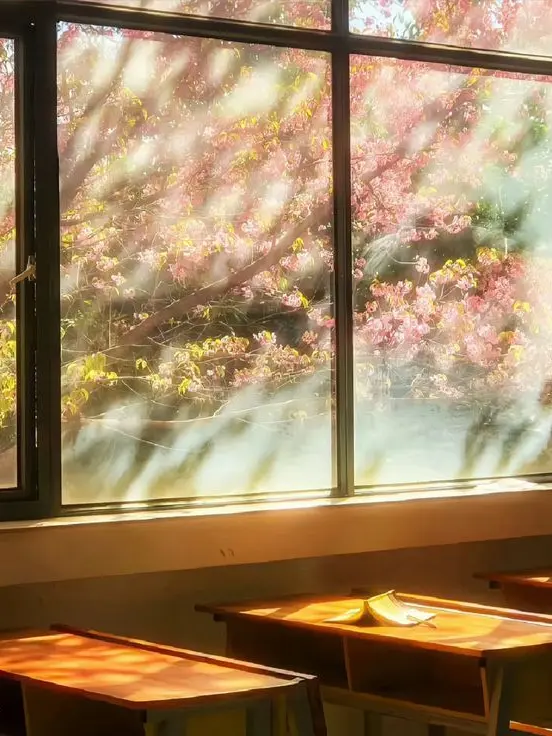nerdyshrimp의 sakura academy