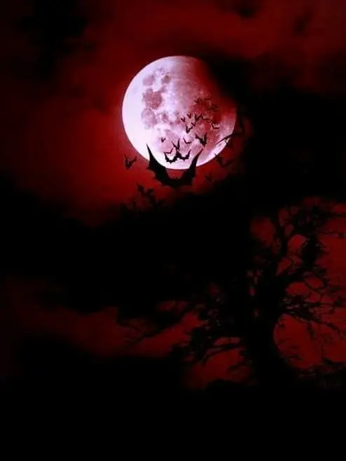 DaggerTD의 Baby of the Bloodline V2