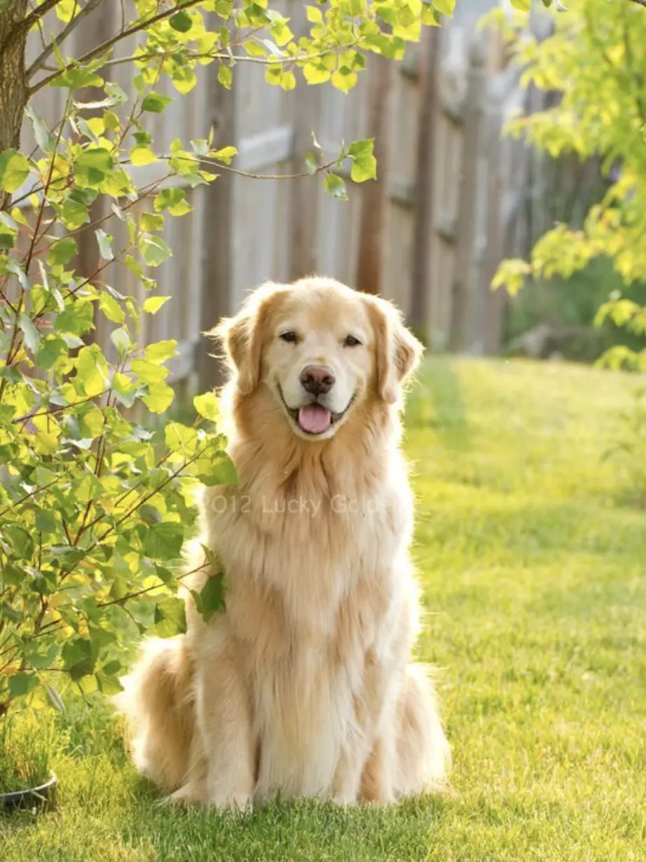 wowie26268800의 강금여