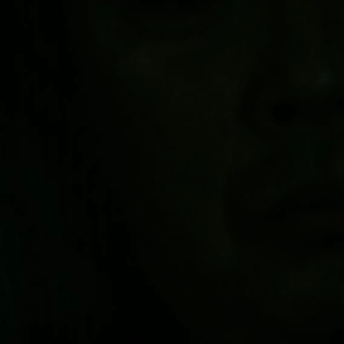 SleepySwan1403의 상현,재현,섬호,동현,동민,운함