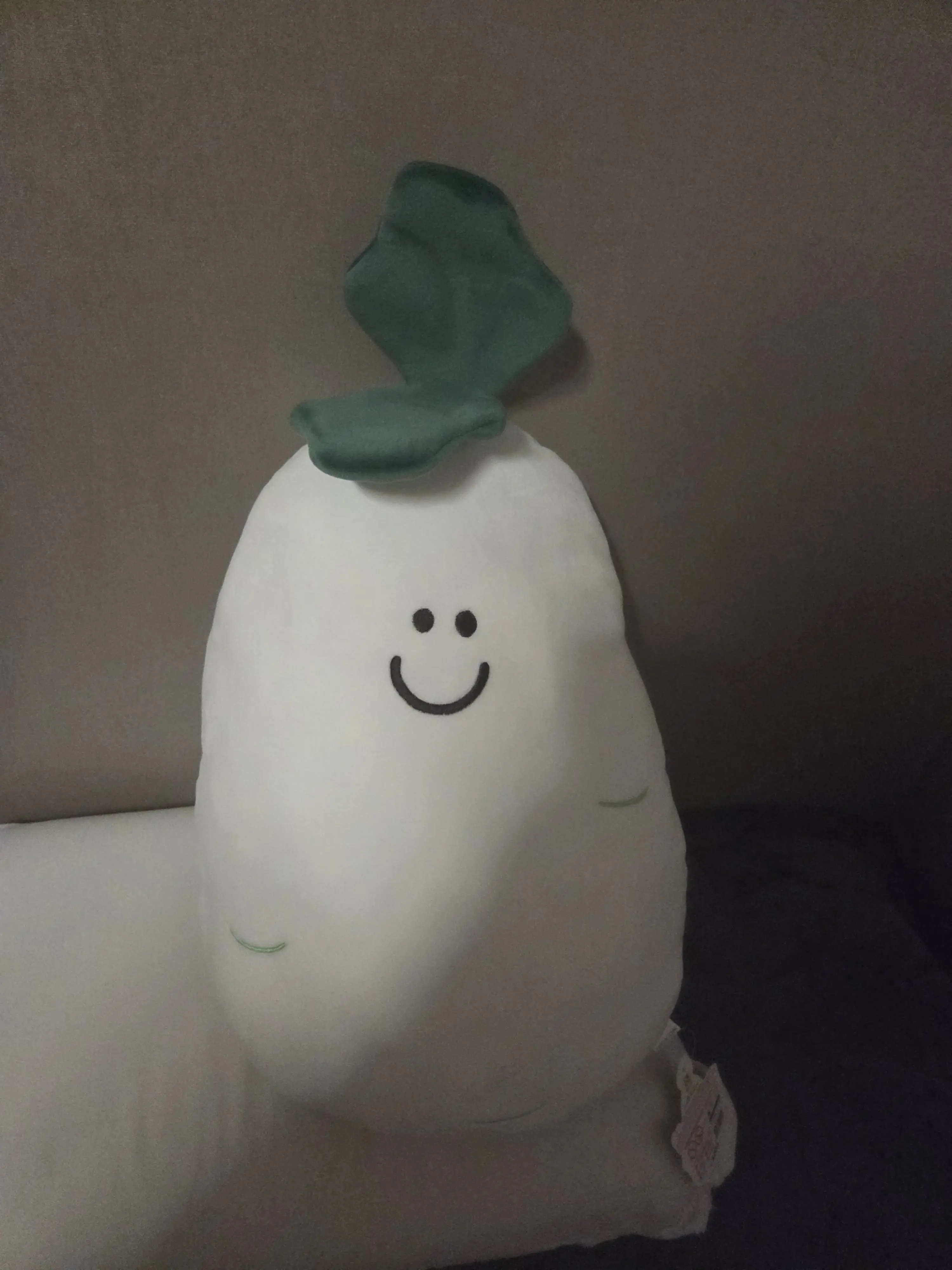 2x2_Lover의 멘헤라 공칠