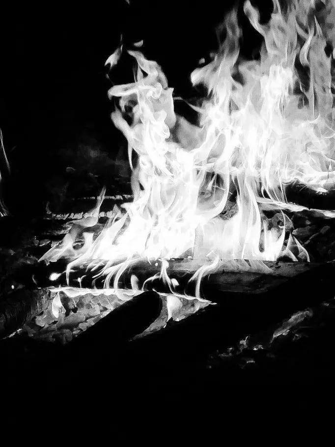 pulpulpuddding의 青鹿毛島放火事件