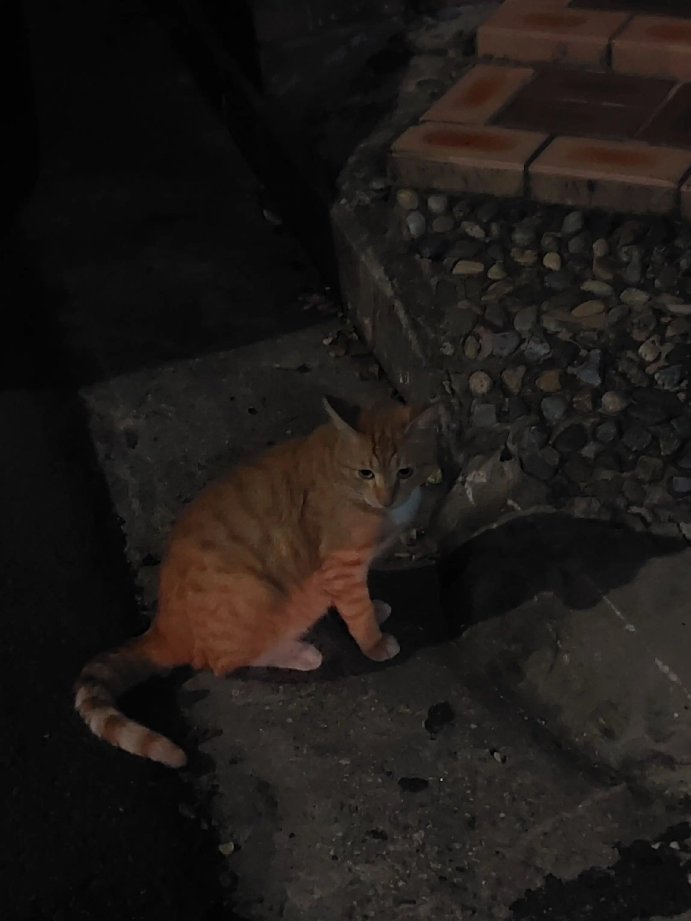 ssiiookk2307의 으른의 연애