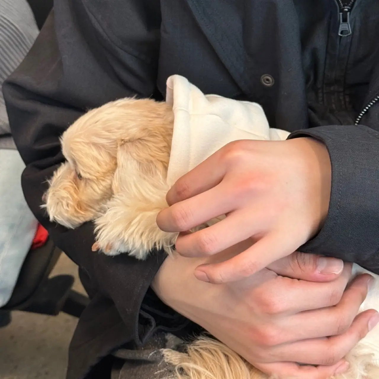 Gun.woxk0_1의 박건욱