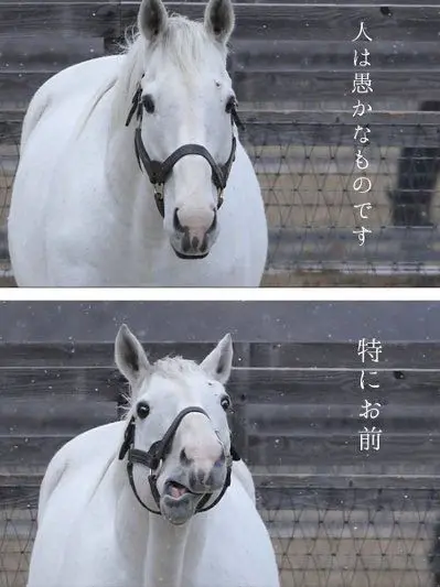 CrazyHappy0516의 自分用
