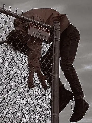 Dear.tired의 정 공룡