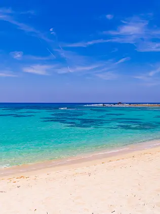 Mi_0.0의 あなた と 最後 の 夏休み