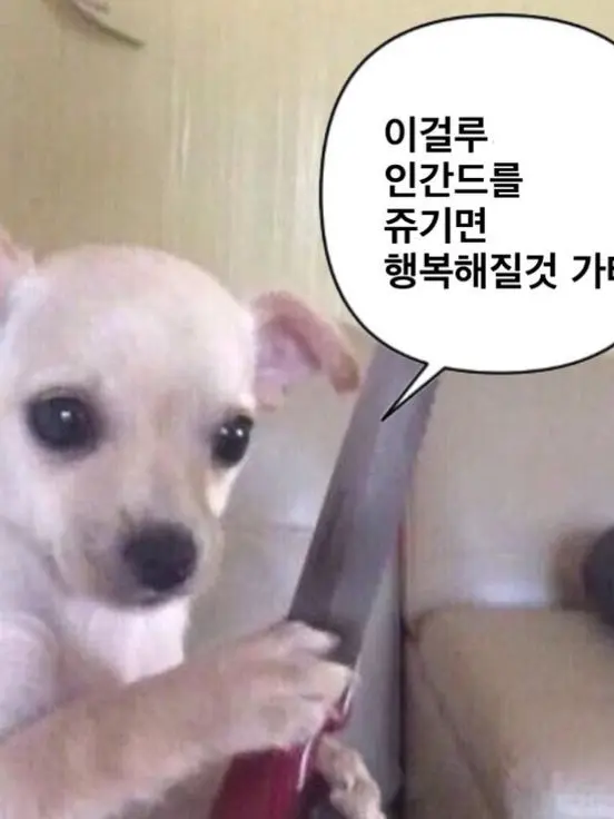 HAREMNICE의 늑대와 여우 참교육하기