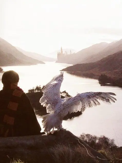 TheeeBellaa67의 Harry potters sister