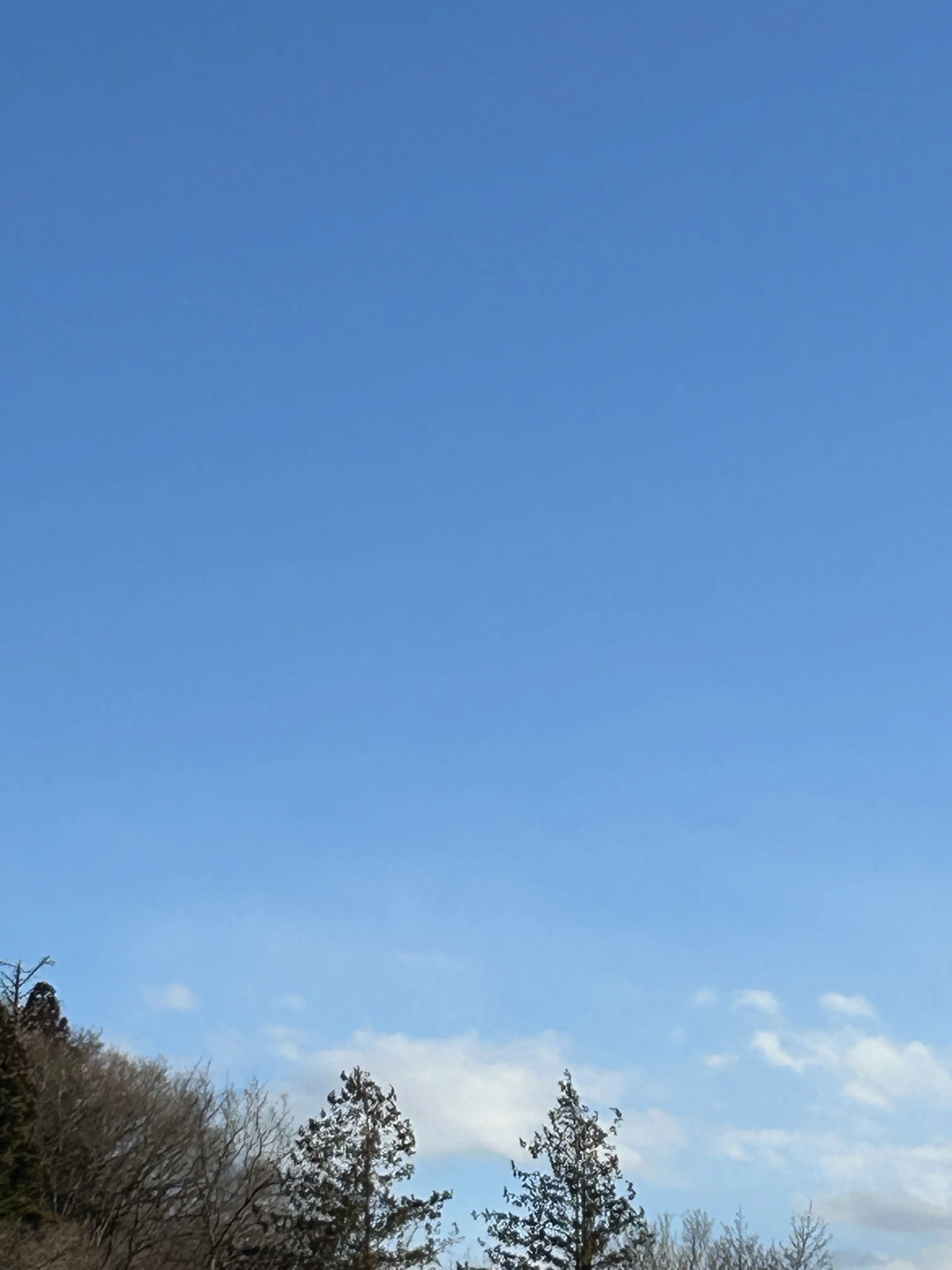 HonestLeech5019의 milkと共演！？