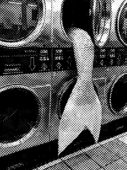 jibjibb의 ㅤ