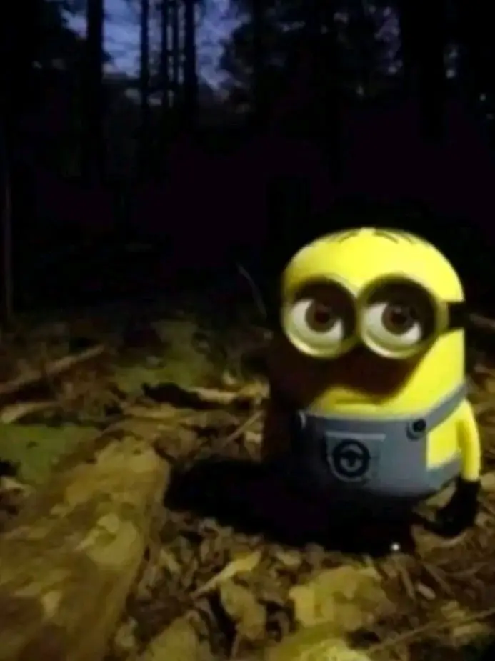 RobustAxe2500의 제이슨